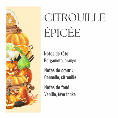 Citrouille épicée