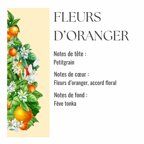 Fleurs d'oranger