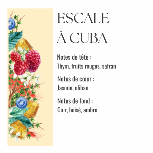 Escale à Cuba